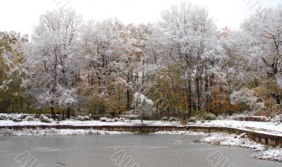 Pond in the park
