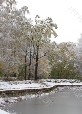 Pond in the park