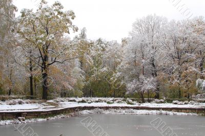 Pond in the park