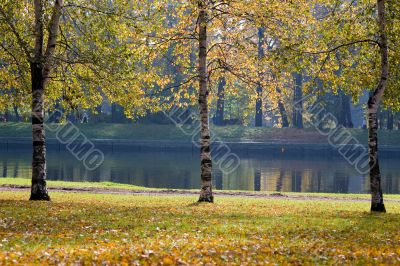 The autumn embankment
