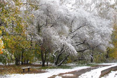 Winter came to town
