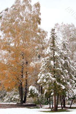 Winter came to town