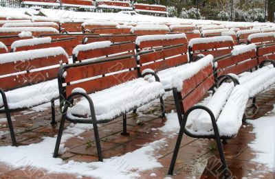 Benches, covered with the snow