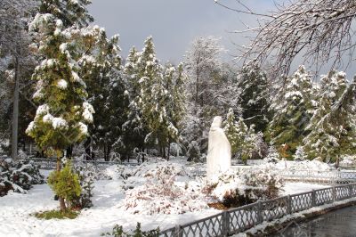 Winter came to town