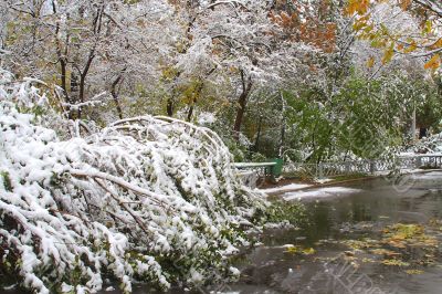 Winter came to town