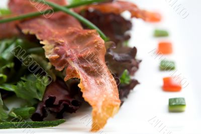 Seasonsalad