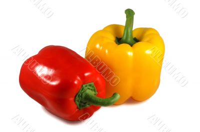 Isolated papricas