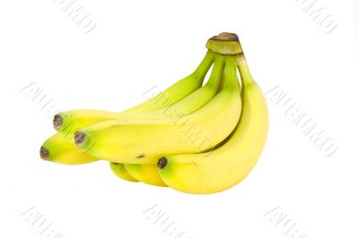 Bananas on White