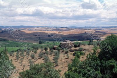 Near Montalcino - Landscape