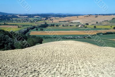 Near Montalcino - Landscape