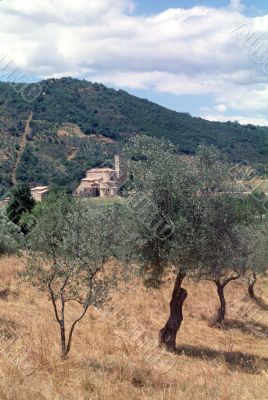 Sant`Antimo (Tuscany)