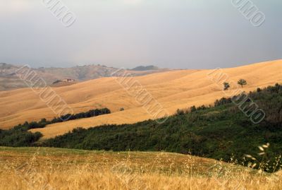 Val d`Orcia - Landscape