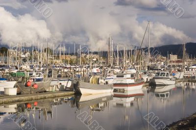 Many Masts