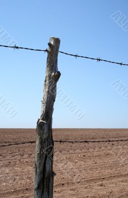 Old barbed wire farm fence