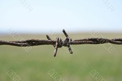 Rusty barbed wire macro
