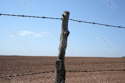 Barbed wire farm fence