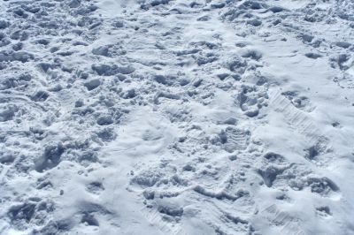 Many footprints in the snow