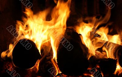 Burning logs in the fireplace