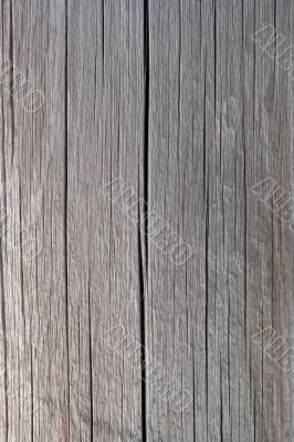Silver gray wood texture