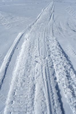 Skidoo track in the snow