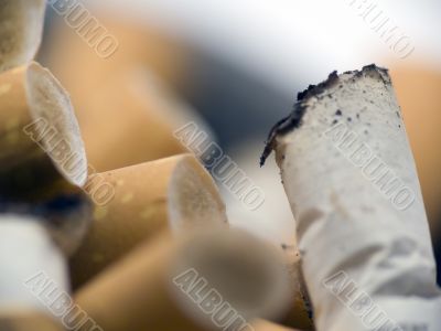 Cigarette Butts