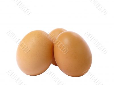 Eggs