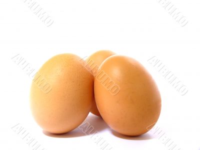 Eggs with shadow