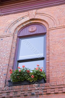 Blue Window and Flowers