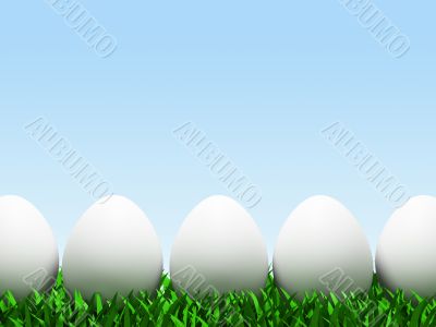Five eggs in row isolated on white background