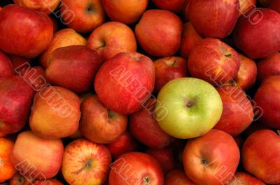 Apples
