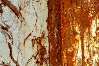 rusty wall