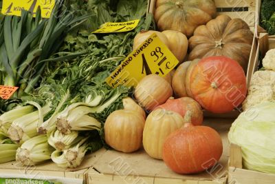 vegetable