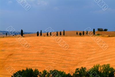 tuscany