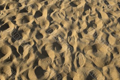 Footprints in the sand