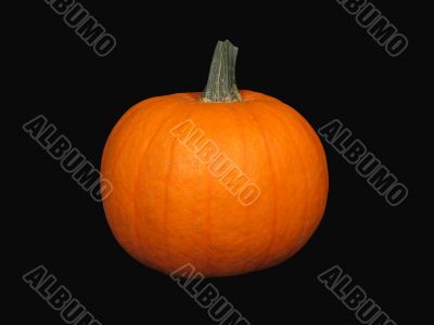 Pumpkin on black background (+ clipping path)
