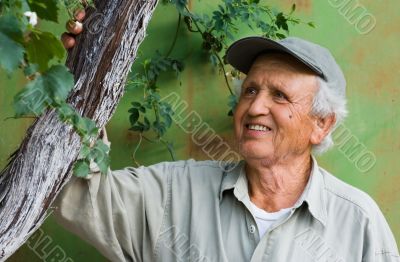 happy senior looking at tree