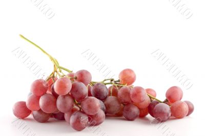 red grape on white