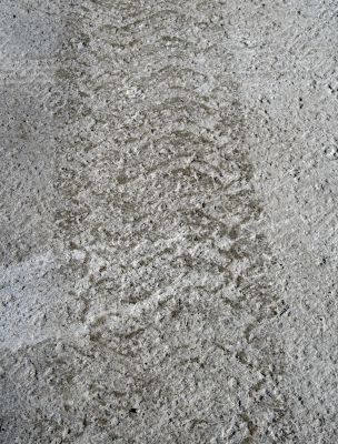 Tire track on a dirt road