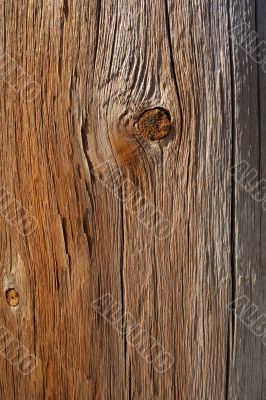 Cracked knotty wood texture