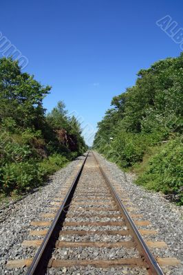 Railway track crossing the wood