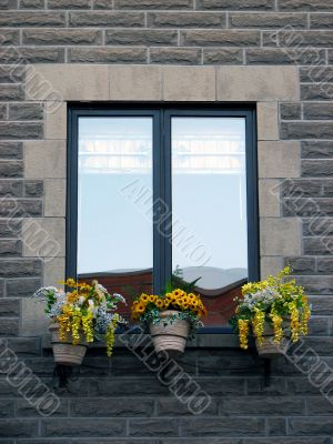 Window with blooming yellow flowers