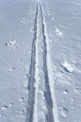Ski tracks in the snow