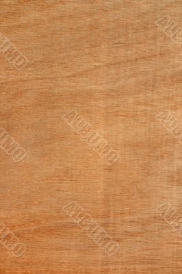 Wood panel texture