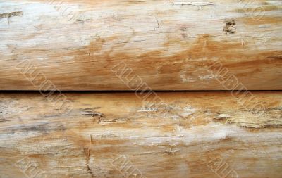 Bright wooden logs