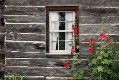 Window of an old wooden house