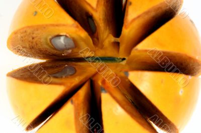 Persimmon isolated in white background