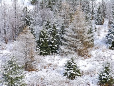 The first snows of winter