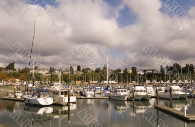 Stormy Marina
