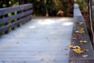 Leaves on a bridge