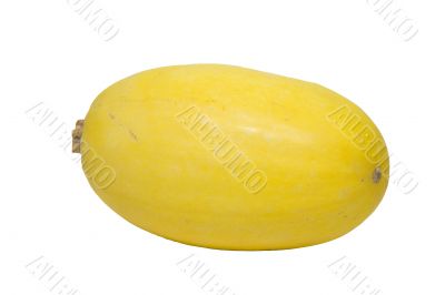 Spaghetti Squash